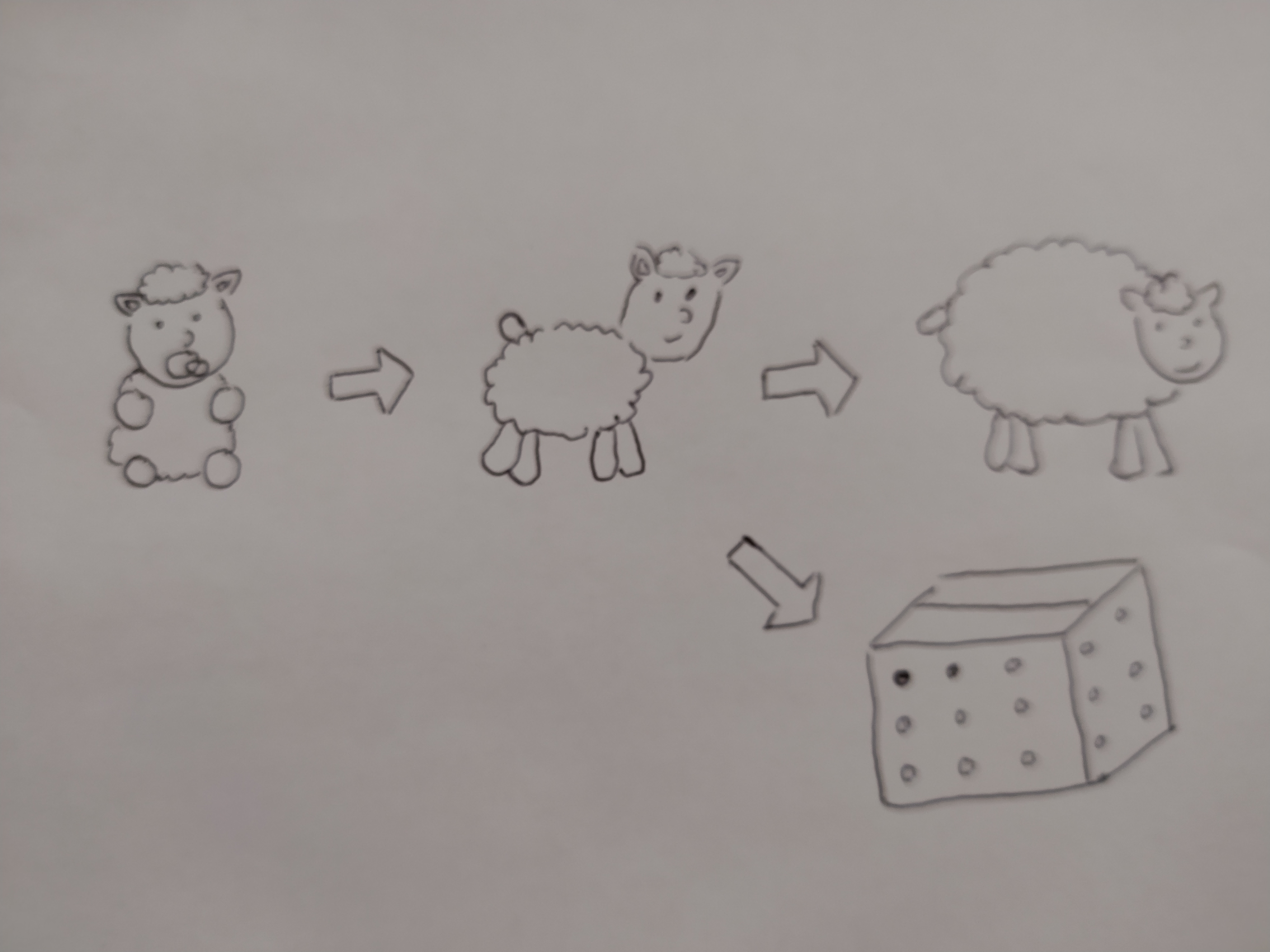 Dibujo que muestra varias versiones de una oveja, desde la oveja bebé hasta la oveja adulta, con flechas de izquierda a derecha. La oveja del medio también puede evolucionar a una caja con agujeros.